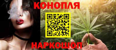 Альфа ПВП Можга