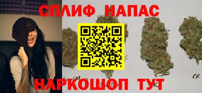 Альфа ПВП Можга